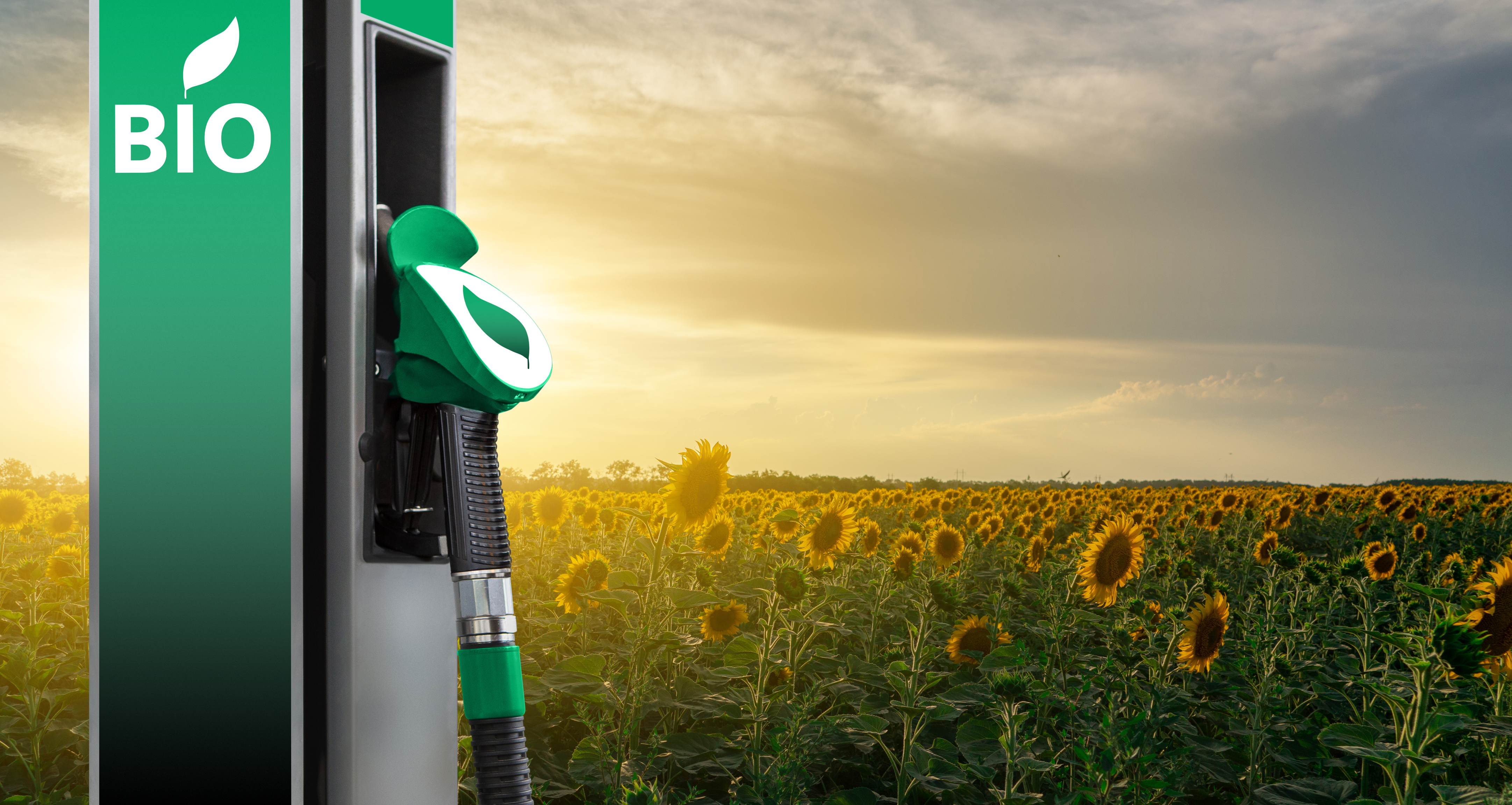 EAG Bioenergy Secures Major Investment from Vesper Infrastructure Partners